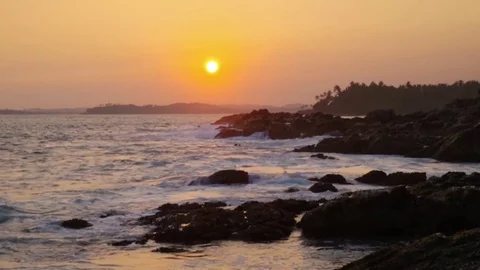 Sunset on the beach with coconut palms. Sri Lanka Vídeo Stock 84772524
