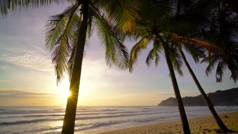 Sunset at the beach with coconut tree background  Stock Footage 204917126