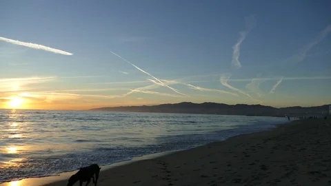 Sunset on beach with Dog Stock Footage 83323806