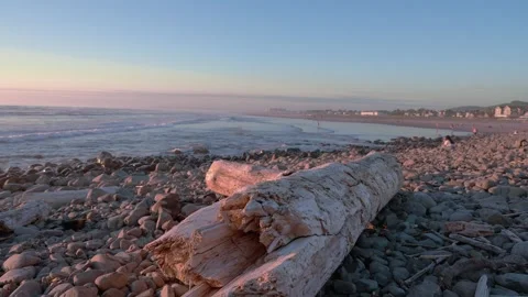 Sunset on Beach with Driftwood and Waves Stock Footage 341295213