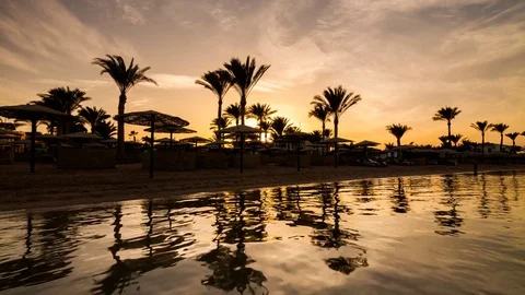 Sunset on the beach in Egypt. Silhouettes of palm trees and parasols Stock Footage 71088941