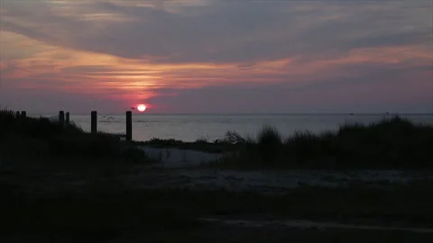 Sunset at the beach with flock of birds 스톡 동영상 246692778