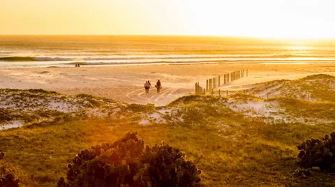 Sunset on the beach Stock Footage 35555426