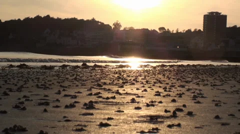 Sunset on the beach Video stock 38046337