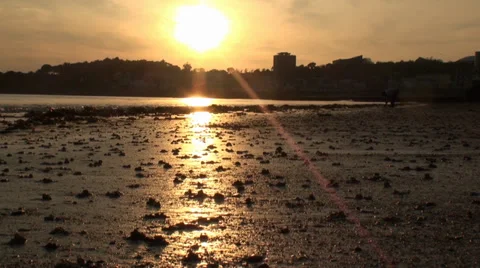 Sunset on the beach Stock Footage 38046394