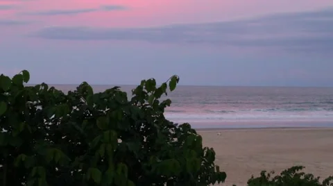 Sunset at beach Stock-Footage 49942299