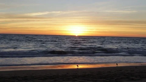 Sunset beach Stock Footage 82549715