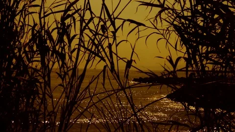 Sunset on a Beach Stock Footage 93782860