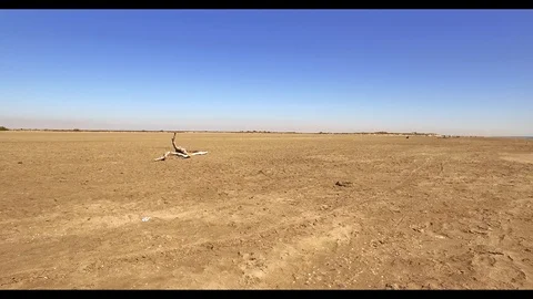 Sunset on the Beach Stock Footage 95284695