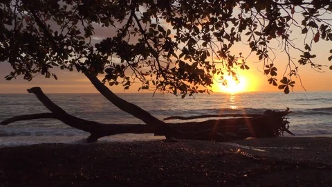 Sunset From The Beach Stock Footage 107609412