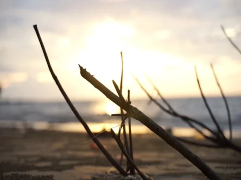 Sunset at beach Stock Footage 123753909