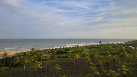 Sunset on Beach Stock Footage 145690256