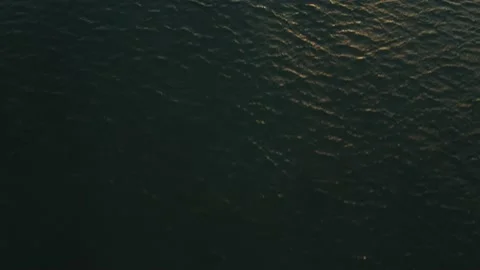 Sunset at the beach Stock Footage 158548816