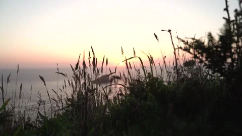 Sunset in beach Stock Footage 160626224