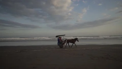 Sunset in the beach Stock Footage 170936718