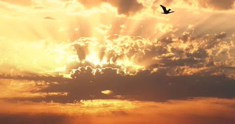 Sunset at beach Video stock 210557041