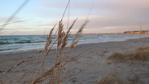 Sunset at the beach Stock Footage 232378022