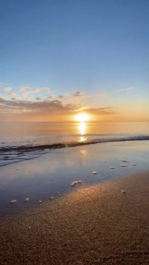 Sunset beach Video stock 241537058