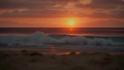 Sunset Beach 動画素材 245372131