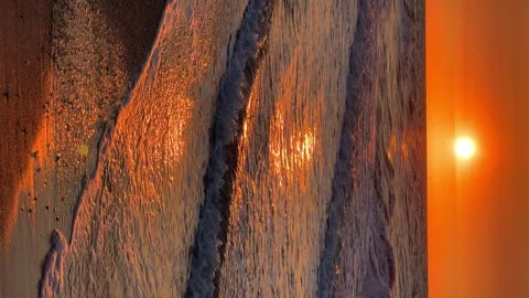 Sunset on the beach Stock Footage 264492780