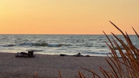 Sunset on the beach.  Stock Footage 264494652