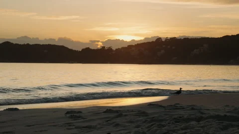 Sunset on the beach Stock Footage 309725074