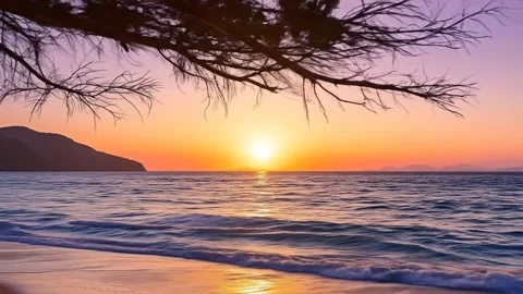 THE SUNSET ON THE BEACH Stock Footage 311312328