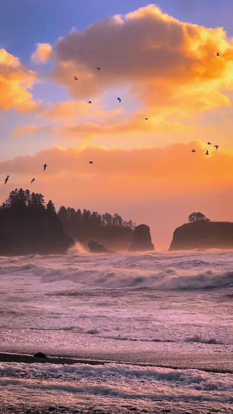 Sunset in the beach Stock Footage 321598451