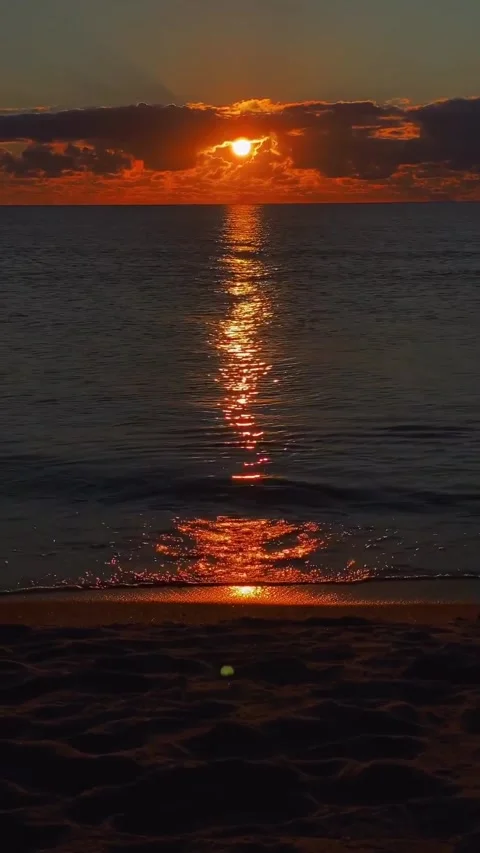 Sunset in the beach Stock Footage 321598677