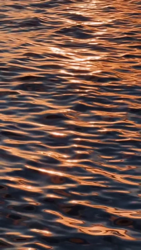 Sunset in the beach Stock Footage 321598794