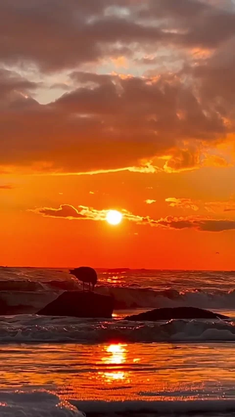 Sunset on the beach Stock Footage 326329993