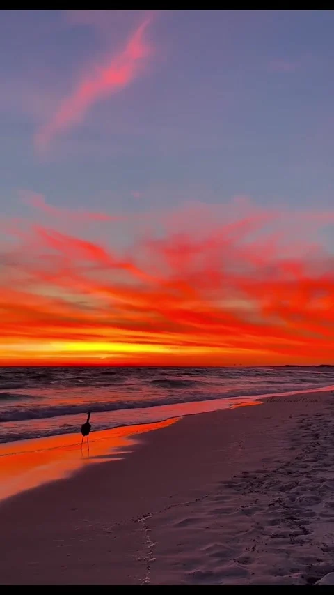 Sunset on the beach Stock Footage 326330038