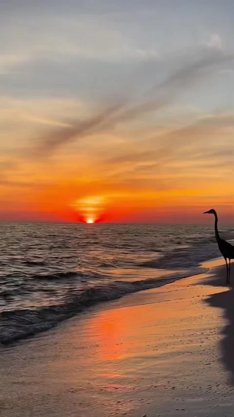 Sunset on the beach Stock Footage 326332937