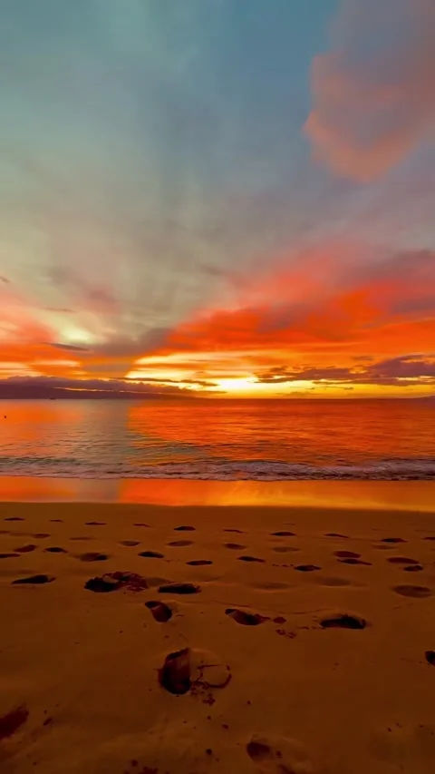 Sunset on the beach Vidéo 329410409