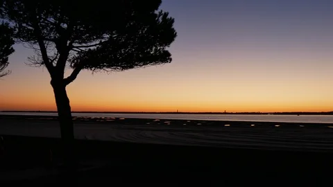 Sunset at the beach front with tree silhouette Stock Footage 96078859