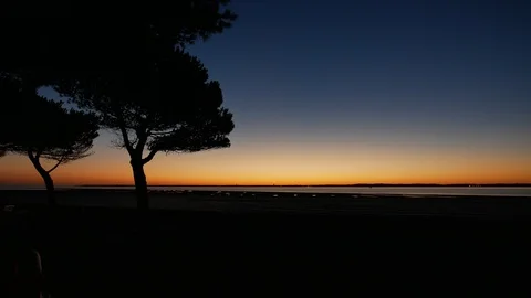 Sunset at the beach front with tree silhouette Stock Footage 96079166