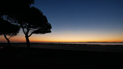 Sunset at the beach front with tree silhouette Stock Footage 96079463