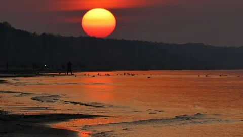 Sunset at beach with gently moving soft wave Vídeo Stock 96525695