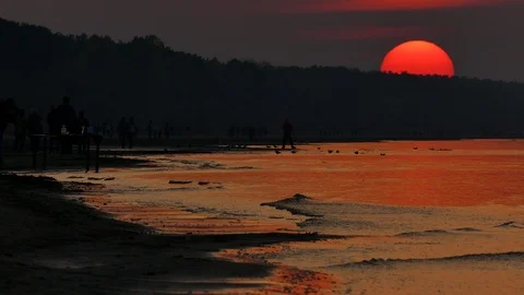 Sunset at beach with gently moving soft wave 動画素材 96528237