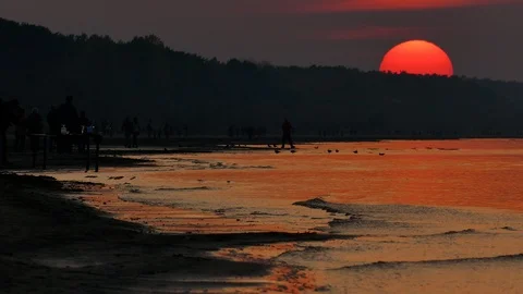 Sunset at beach with gently moving soft wave Stock Footage 96530076