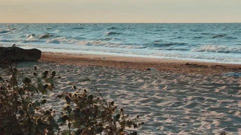 Sunset on the beach in Golubitskaya.  Stock Footage 255125132