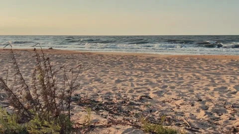 Sunset on the beach in Golubitskaya. Stock Footage 255126349