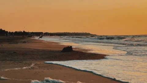 Sunset on the beach in Golubitskaya.  Stock Footage 255379909