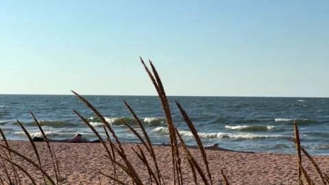 Sunset on the beach in Golubitskaya. Stock Footage 255832316