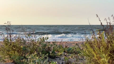 Sunset on the beach in Golubitskaya. Stock Footage 255832651