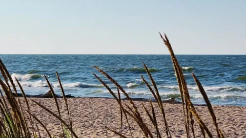 Sunset on the beach in Golubitskaya.  Stock Footage 256292323