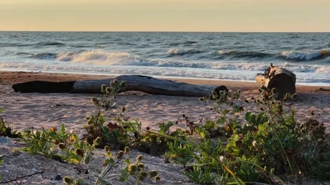 Sunset on the beach in Golubitskaya.  Stock Footage 256292688