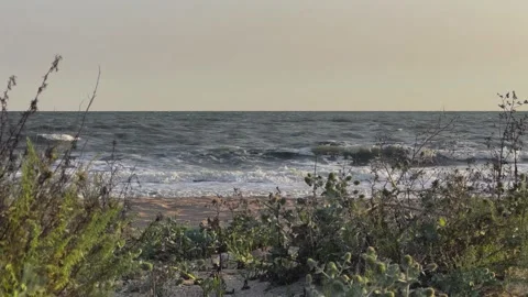 Sunset on the beach in Golubitskaya.  Stock Footage 256292745
