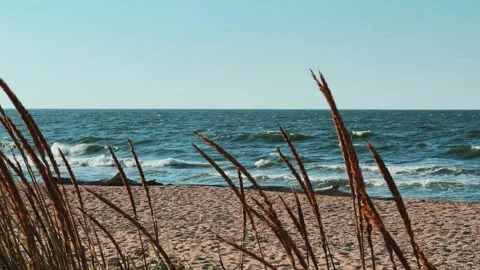 Sunset on the beach in Golubitskaya.  Stock Footage 256294195