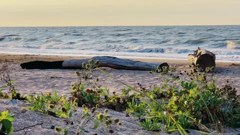 Sunset on the beach in Golubitskaya.  Stock Footage 256294350